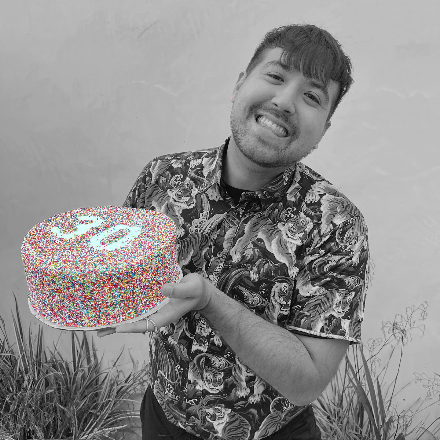 Person holding Sprinkle Deco Cake