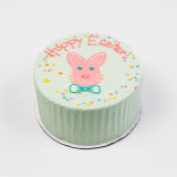 Easter Bunny Decorated Cake