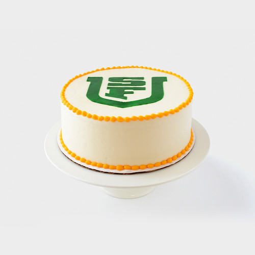 University of San Francisco Graduation Cake