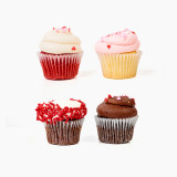 Valentine's Day  Mini Cupcakes